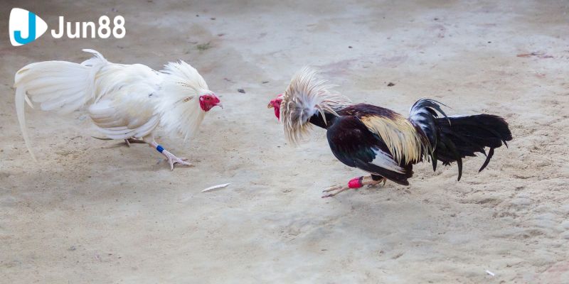 Một số lợi ích khi tham gia mà bạn ngờ tới