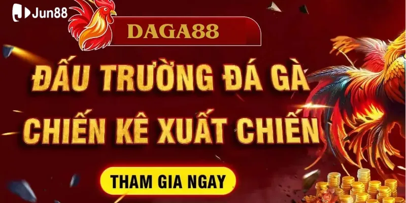 Đá gà 88, trận đấu kịch tính, cơ hội thắng đậm không thể bỏ lỡ 3 Đa dạng khuyến mãi